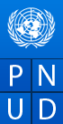 logo PNUD